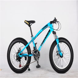 美丽行自行车产品 美丽行自行车产品图片 美丽行自行车怎么样 最新美丽行自行车产品展示
